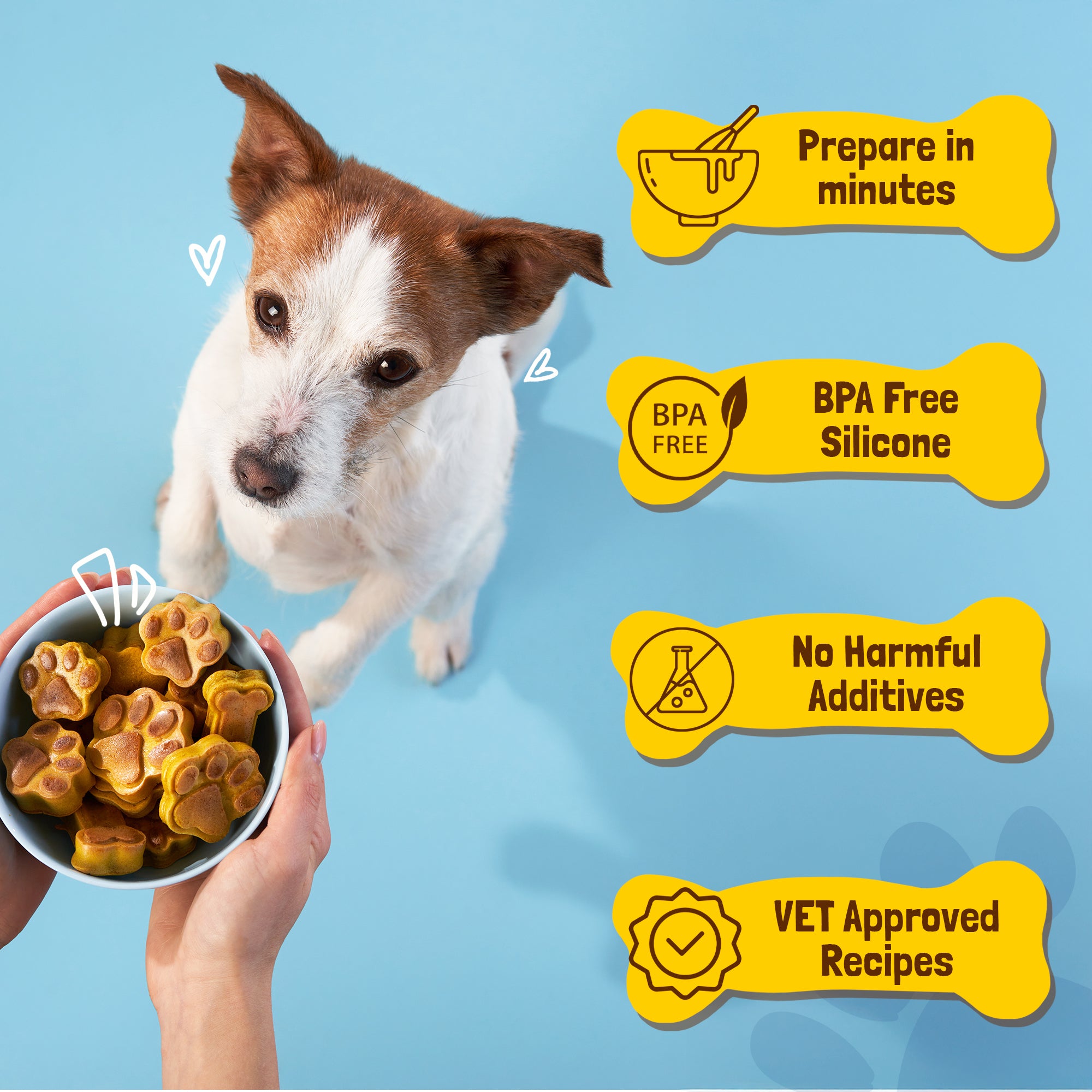 BoneItUp® 반려견 간식 키트